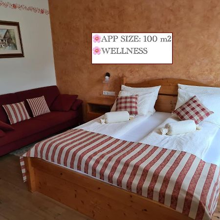 Apartmaji Sitar Ribnica na Pohorju Екстериор снимка